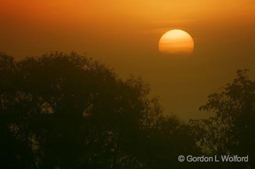 Sun Rising Out Of Fog_22800.jpg - Photographed near Lindsay, Ontario Canada.